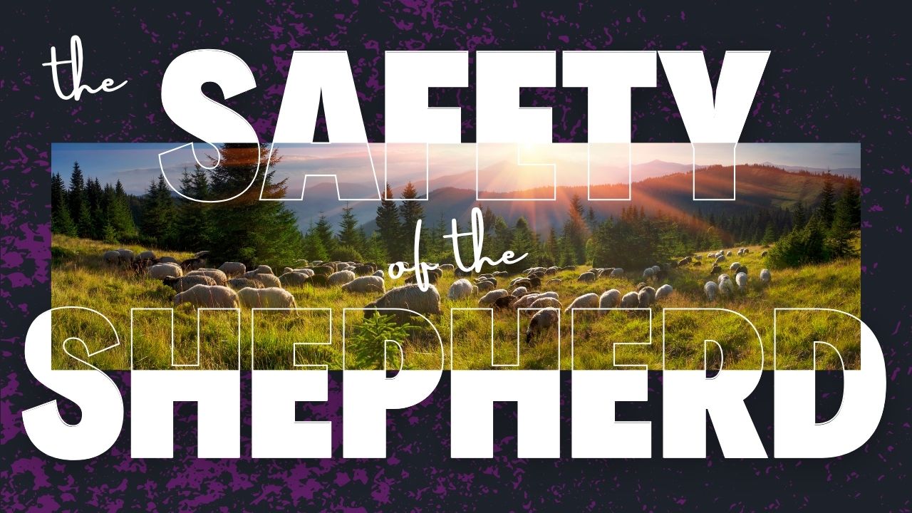 The Safety of the Shepherd