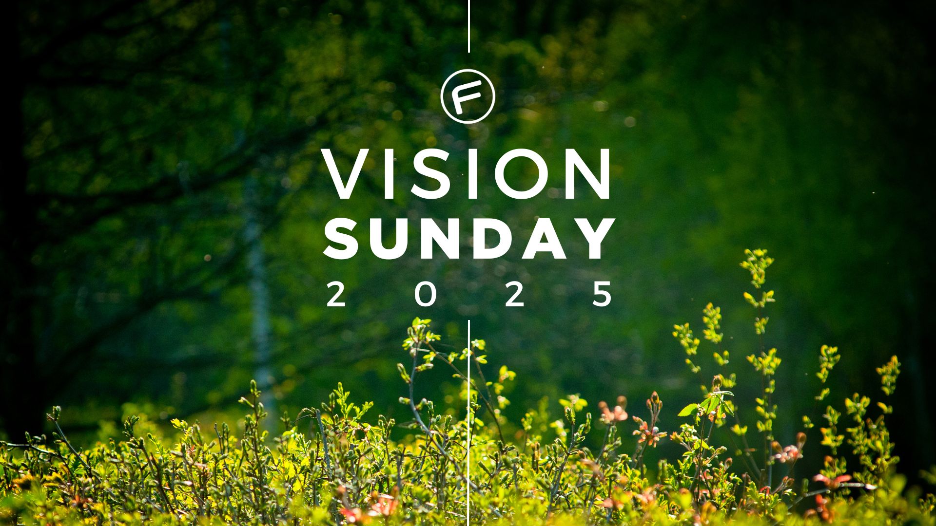 Vision Sunday 2025